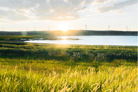凝心聚力 · 超越自我｜中视润扬2024团建活动圆满结束