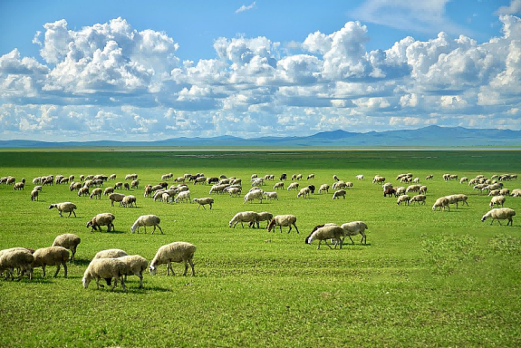 凝心聚力 · 超越自我｜中视润扬2024团建活动圆满结束