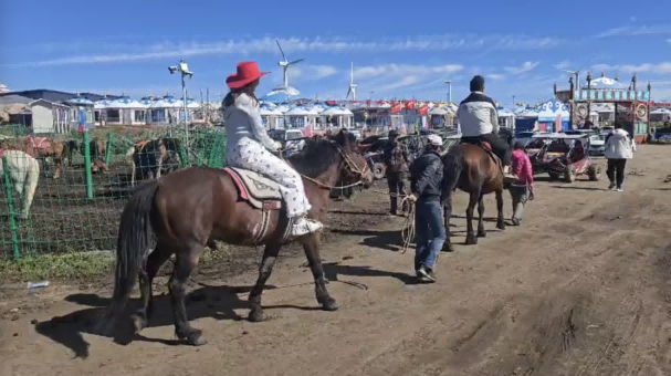 凝心聚力 · 超越自我｜中视润扬2024团建活动圆满结束